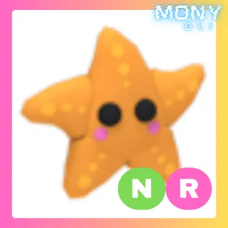 NR STARFISH