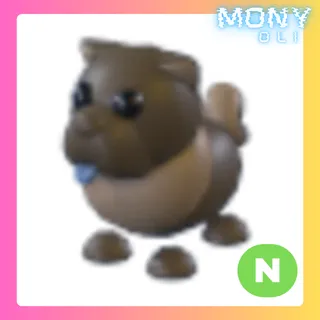 NEON CHOCOLATE CHOW-CHOW