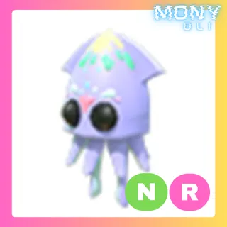 NR SQUID