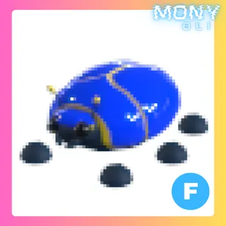 F GIANT BLUE SCARAB 