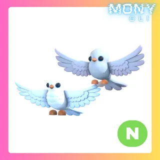 NEON TURTLE DOVES