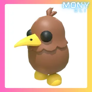 KIWI