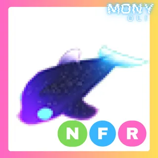 NFR GLORMY DOLPHIN 