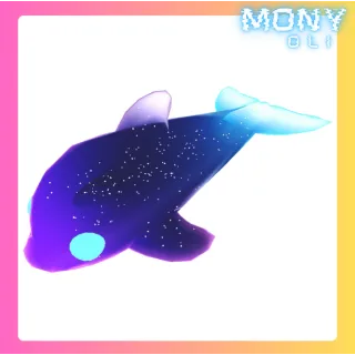 GLORMY DOLPHIN