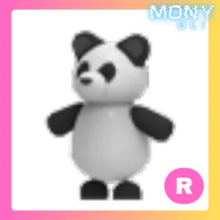 R PANDA 