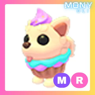 MR PUPCAKE