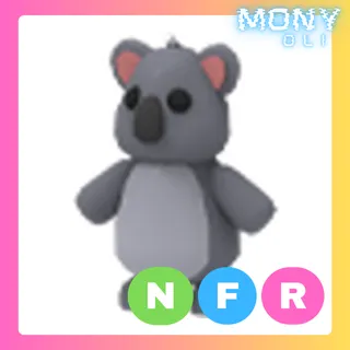 NFR KOALA