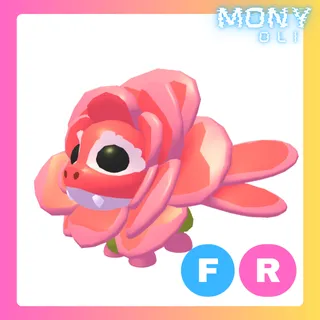 FR ROSE DRAGON