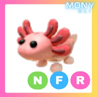NFR AXOLOTL 
