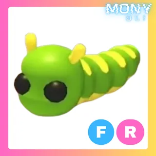 FR CATERPILLAR