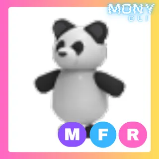 MFR PANDA 