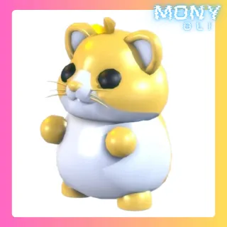 GOLDEN HAMSTER
