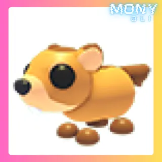 GROUNDHOG