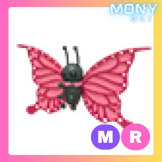 MR 2021 UPLIFT BUTTERFLY 