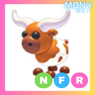 Longhorn Cow NFR