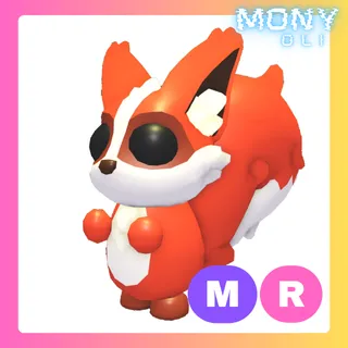 MR RATATOSKR