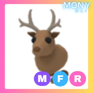 MFR REINDEER