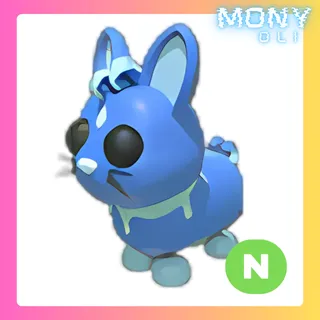 NEON WATER RABBIT 