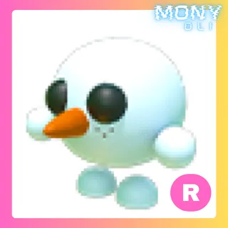 R SNOWBALL PET