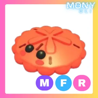 MFR RED SAND DOLLAR