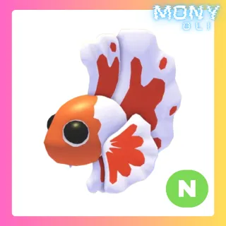 NEON ORANGE BETTA FISH 