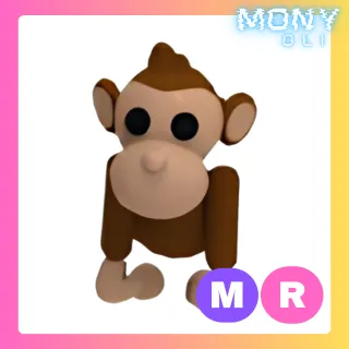 MR MONKEY