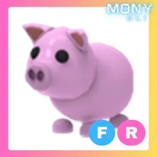 FR PIG