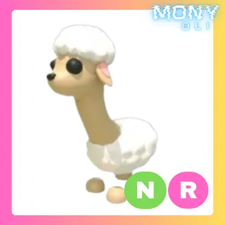 NR SHEEEEEP 