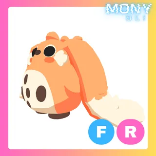FR CABBIT