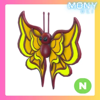 AMBER BUTTERFLY NEON