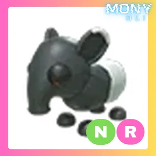 NR MALAYAN TAPIR