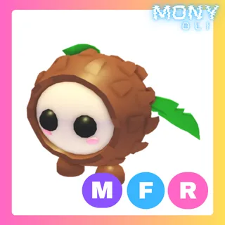 MFR COCONUT FRIEND