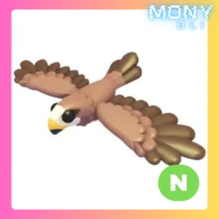 NEON BLACK KITE
