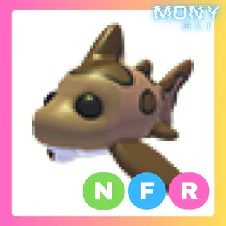 NFR LEOPARD SHARK