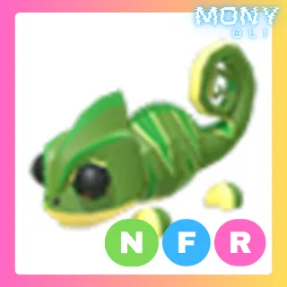 NFR CHAMELEON