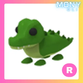 R CROCODILE 