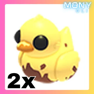 2X DIRTY DUCKY