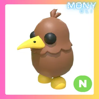 NEON KIWI