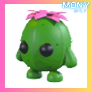 CACTUS FRIEND