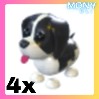 4X BLACK SPRINGER SPANIEL