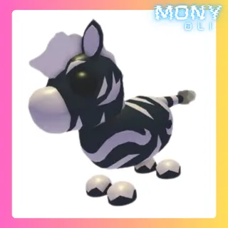 ASH ZEBRA