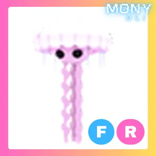 FR JELLYFISH