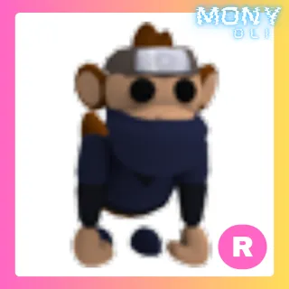 R NINJA MONKEY 