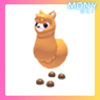 ALPACA