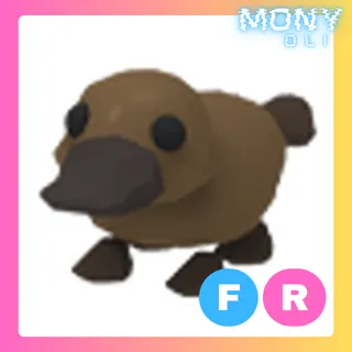 FR PLATYPUS