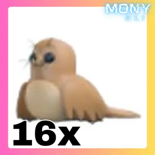 16X GALAPAGOS SEA LION