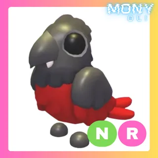NR DRACULA PARROT