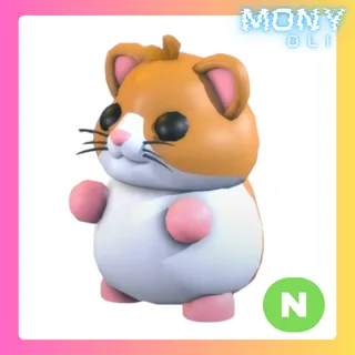 NEON HAMSTER 