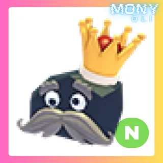 NEON OLD KING COAL