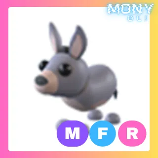 MFR DONKEY